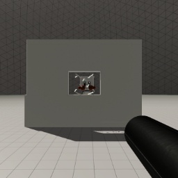 The shooting sim