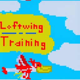Loftwing Training SkyGrounds